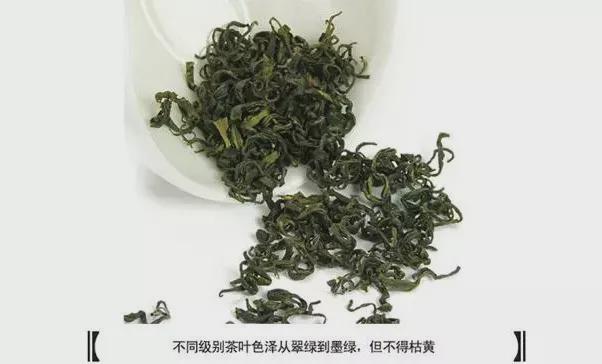 必博体育日照绿茶—北方第一茶(图3)